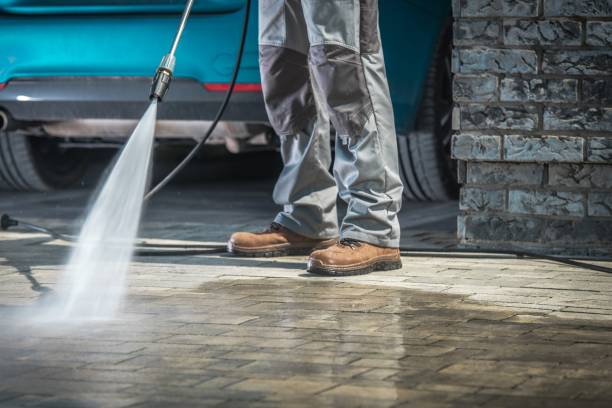 Best Fleet Vehicle Washing  in Sour Lake, TX